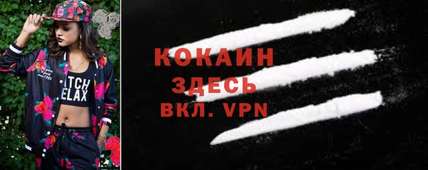 дмт Няндома