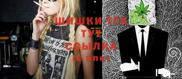 дмт Няндома