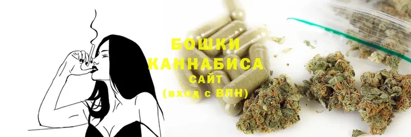 Бошки марихуана OG Kush  даркнет сайт  Кемь 